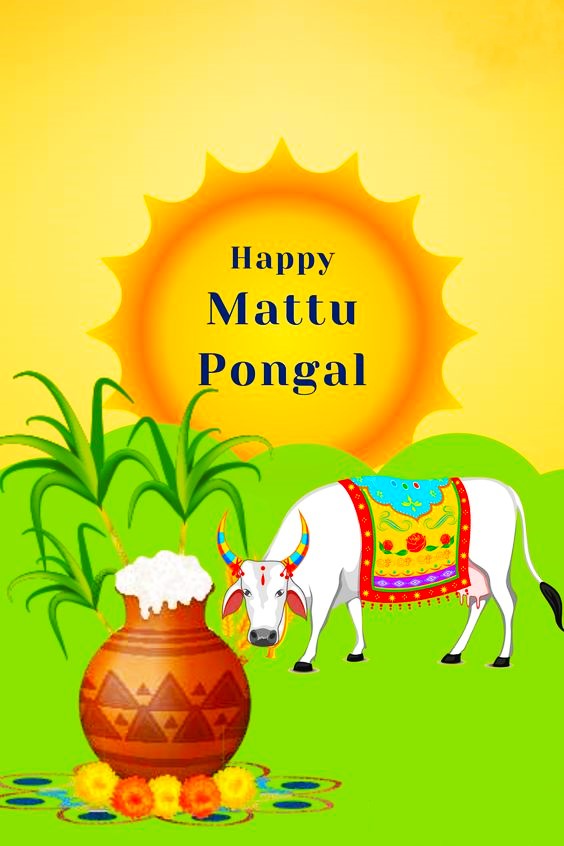 Mattu Pongal 2024 Happy Mattu Pongal Wishes, Images and Quotes in English