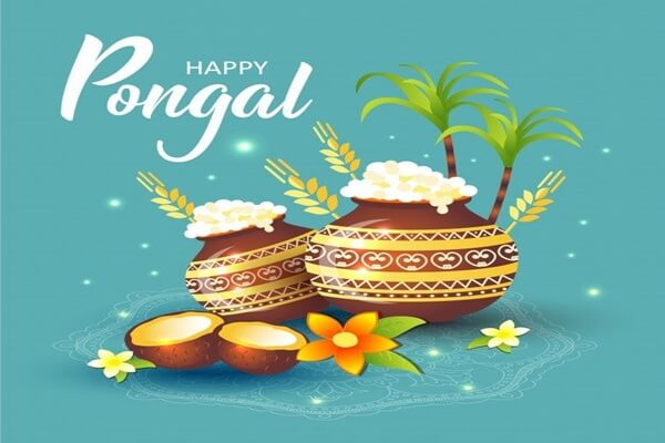 Pongal Wishes