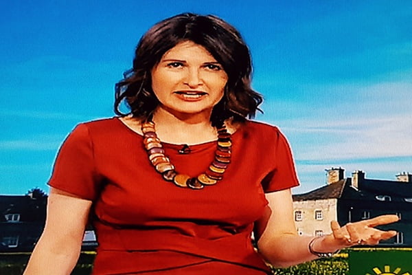 Helen Willetts: A Renowned Meteorologist Making Waves in Broadcast Journalism